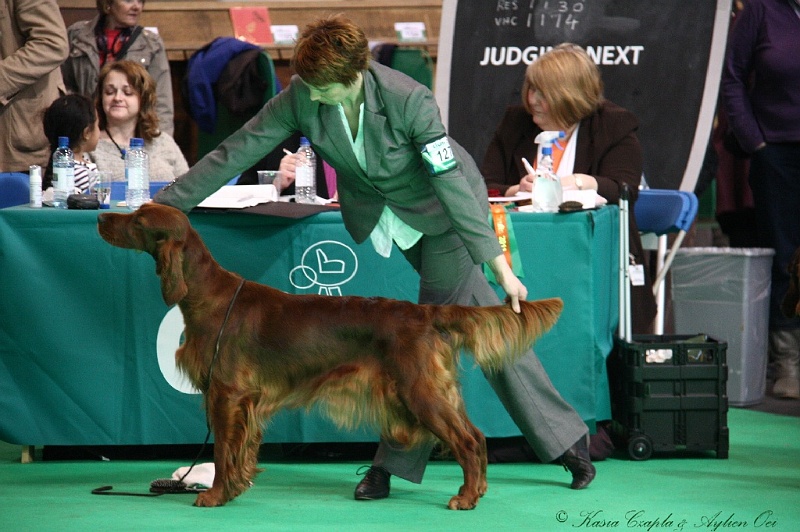 Crufts2011 712.jpg